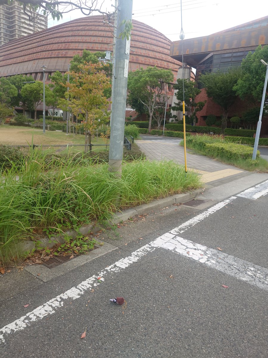 dn28_28's tweet photo. 今写真撮りに来たら
芝生エリアの交差点で落ちてました！

鼓のぬいぐるみ！！
落としたよー🥲って心当たりある方
連絡ください！

拡散もしてもらえると助かります

主さんに届けーーー！

#ME_I_WAY_兵庫0913
#ME_I_WAY_神戸0913 https://t.co/Rwk9ofWCA1