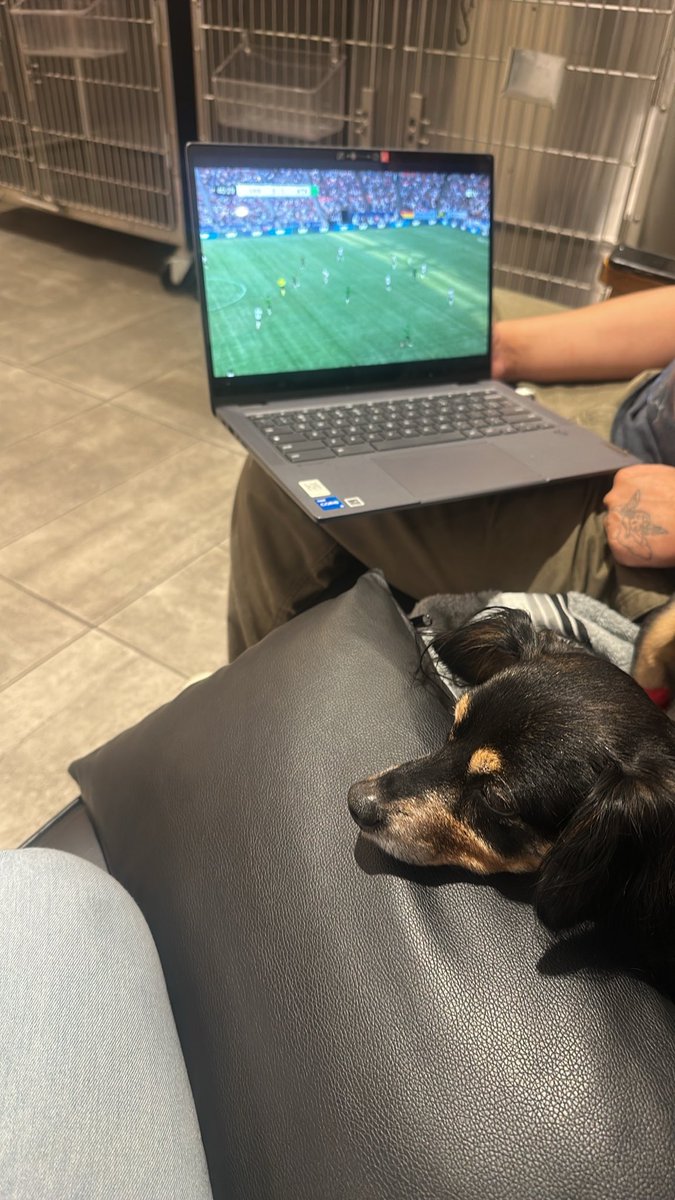 lahuezuda's tweet photo. Screaming at the puppy ER bc Vancouver missed the pk… 
Everyone put some good energy out there, our daughter has been throwing up all day 😢 https://t.co/YYSUeVMW0M