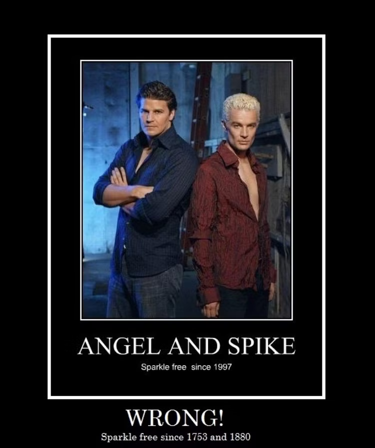 wwpryce's tweet photo. pinterest has given me more buffy vs twilight one sided beef images and they never cease to be funny. especially if you consider edward went to the angel no last name school of brooding. they even have similar hair. c'mon now https://t.co/iNjkj1zP0k