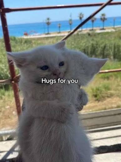 Nguyenh26603434's tweet photo. @bechangmeo https://t.co/TXocVyCvqi