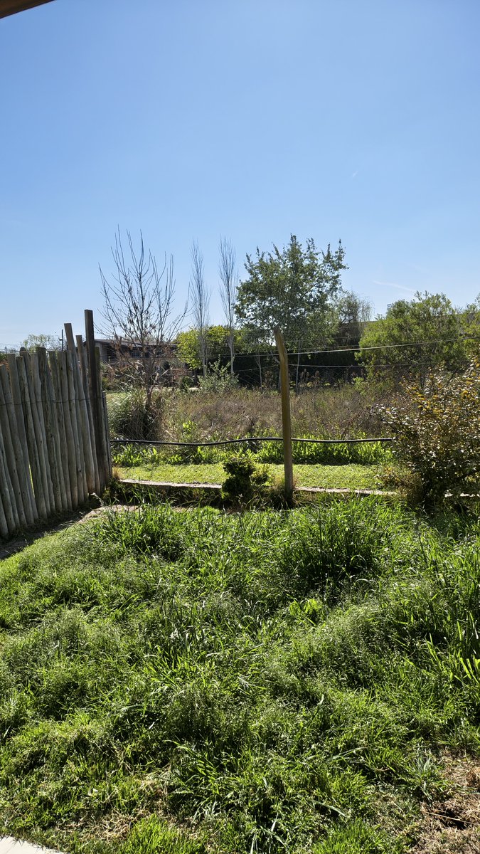 JavierEd's tweet photo. Patio de lo que se compró con el hipotecario.. que sea así de verde me convenció 100%.. por otro lado me preocupa que sea PBA. https://t.co/gwMInZ1q9D