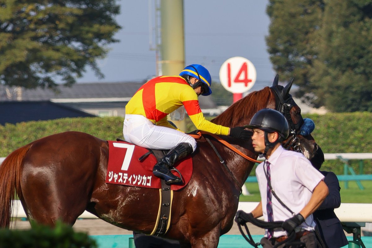 __tpuma's tweet photo. 2026.09.13
11R セントライト記念
📍中山競馬場

ジャスティンシカゴ
原優介騎手
宮田敬介厩舎

調教良かったので
注目していた1頭でした‼️
おめでとうございます✨ https://t.co/MWZE2Gizw4