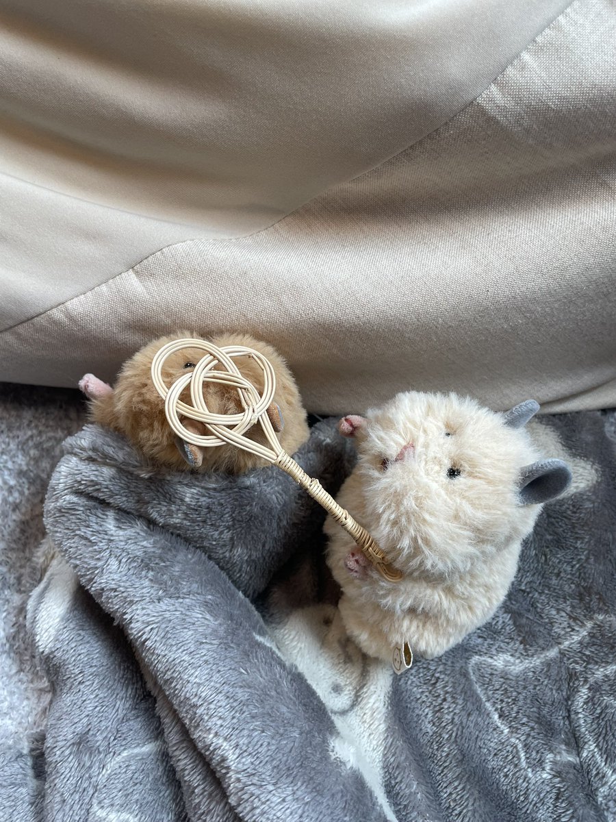 hamtans_ouchi's tweet photo. 🐹ねぇねぇ
もう　あさだよぉ〜
おきてよぉ〜

ベシッ‼️ https://t.co/FSjzuReKDI