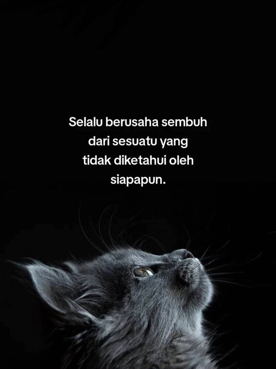 wildknights's tweet photo. berusaha sembuh

#senin #malam #curhat #sembuh #kutipan #quotes #fypシ゚ https://t.co/jrlTLG7gOF