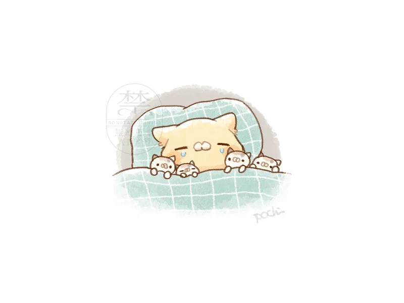 ぽち🐱となりのにゃんこ on X / X