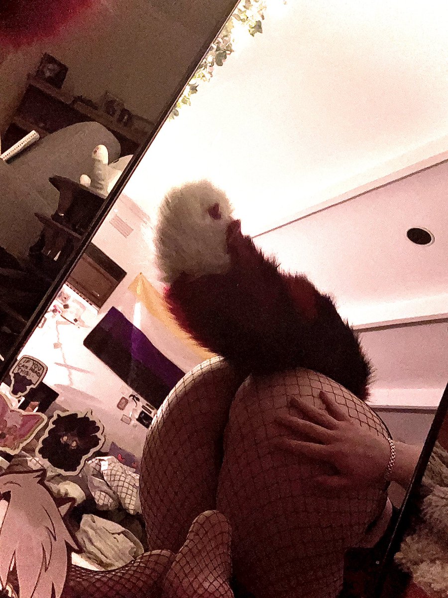 KasinoAD's tweet photo. Do these fishnets make my butt look big ?? https://t.co/aRfl4JTKK8