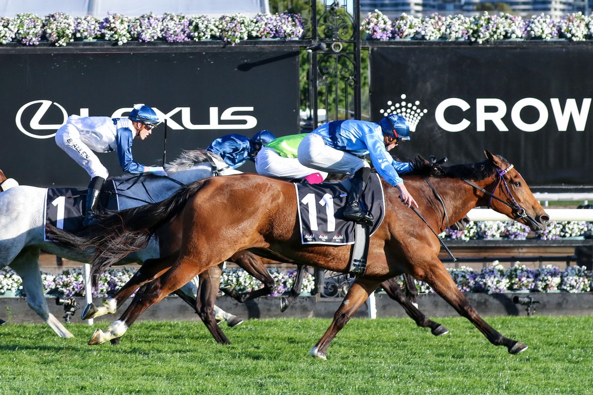 KarakaChat's tweet photo. Group Two Breakthrough for Pondalowie

After seven previous top-six finishes in black-type company, under-rated mare #Pondalowie (Deep Field) broke through in style in the A$300,000 Group Two Asahi Super Dry Let’s Elope Stakes (1400m) at Flemington on Saturday. 🏆

Expat New Zealand trainers Emma-Lee and David Browne paid $150,000 to buy Pondalowie from Book 1 of Karaka 2022, where she was offered by Prima Park. The six-year-old mare’s 22-race career has now produced four wins, three placings and A$394,275 in stakes.

“She can gallop and sprint like no horse we’ve ever had, and today she showed it. When she’s jammed in behind them like that and gets the first half of the race right, she breathes a bit better and gets enough air to finish the race off strongly.”

Read further here 👇🏻📰:  https://t.co/0e24ly8aaq