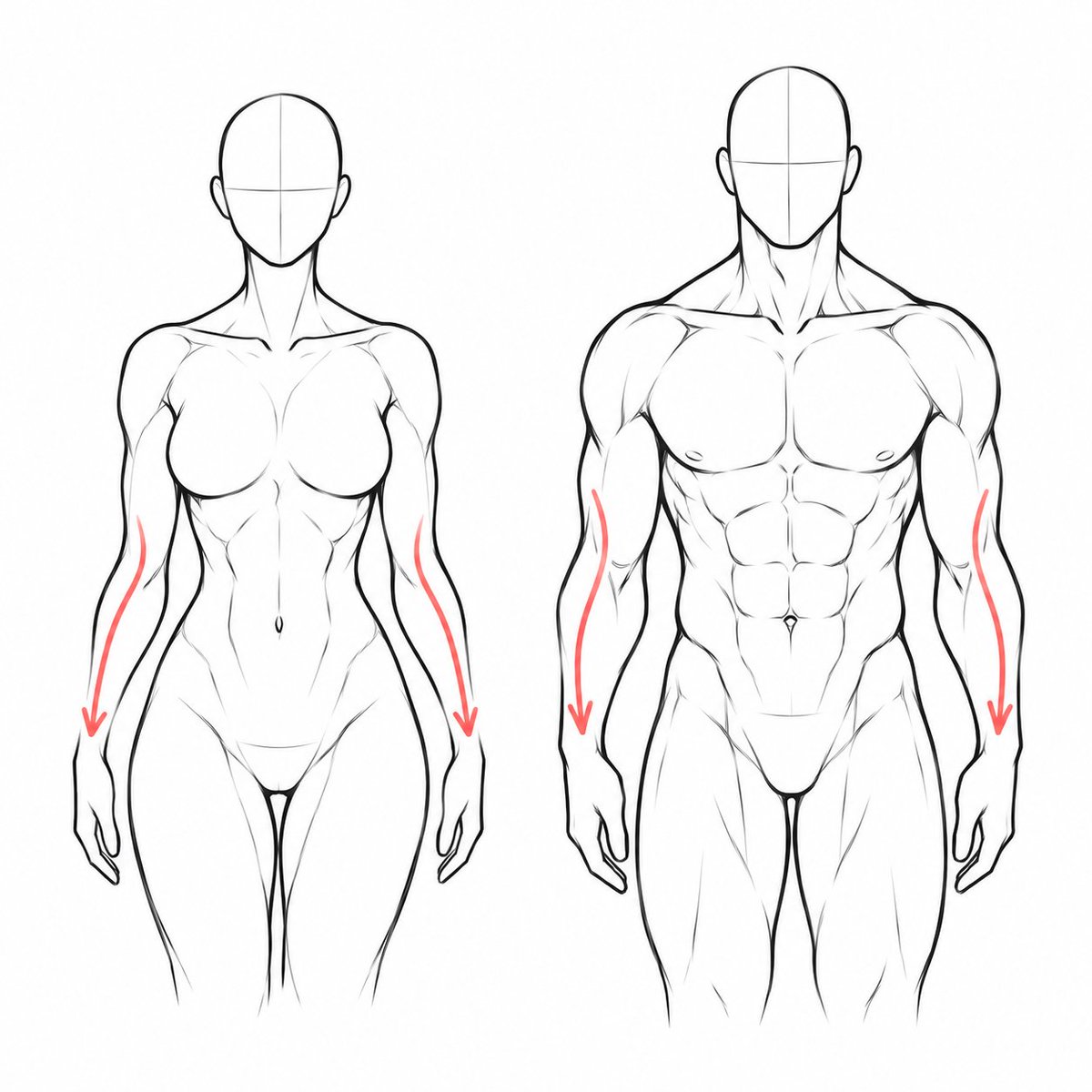 oldmanlux's tweet photo. Study body shape and anatomy. https://t.co/4owCOlrXI5