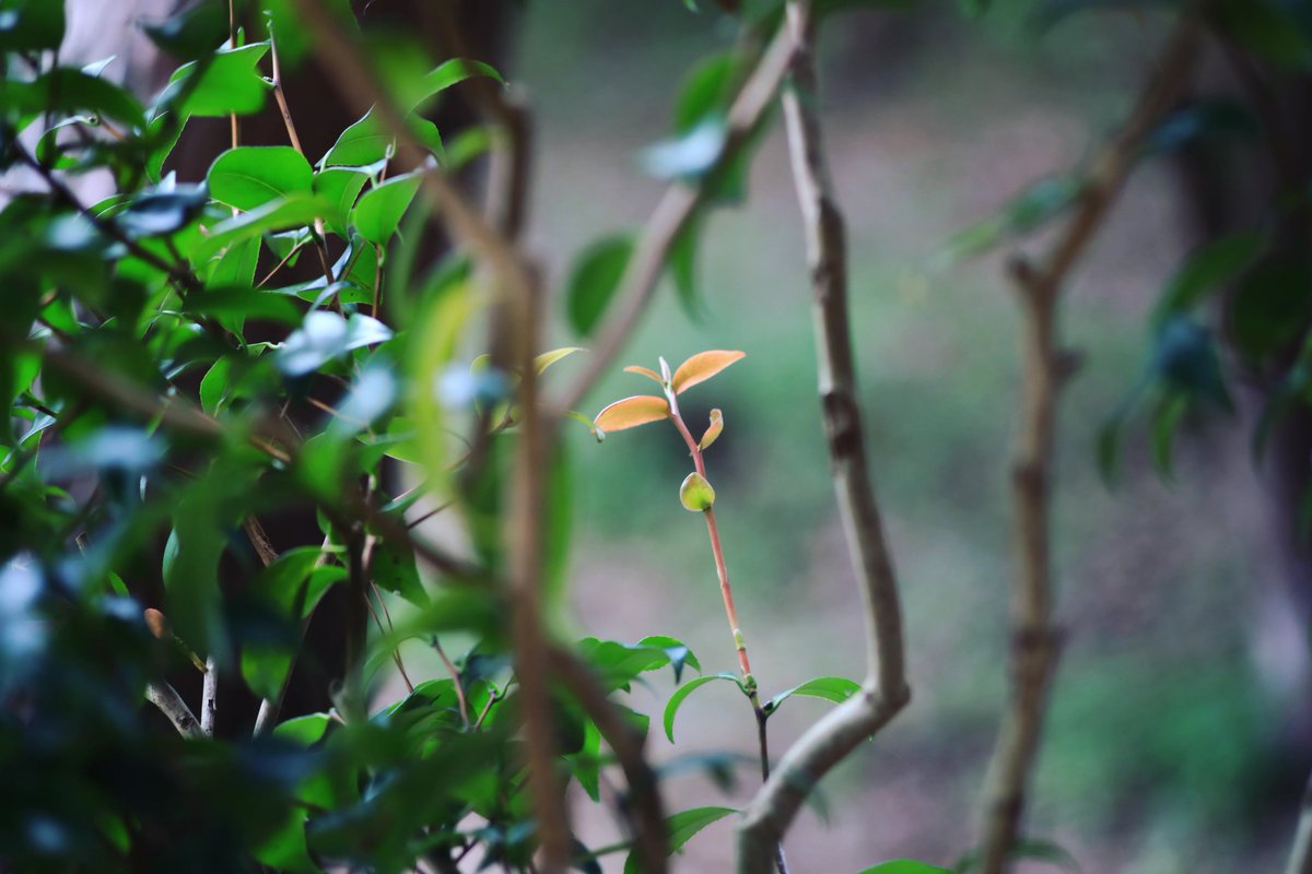 yczx38's tweet photo. 病院中
人多すぎて酔いそ
#写真 #オールドレンズ https://t.co/rBSIpjdRt4