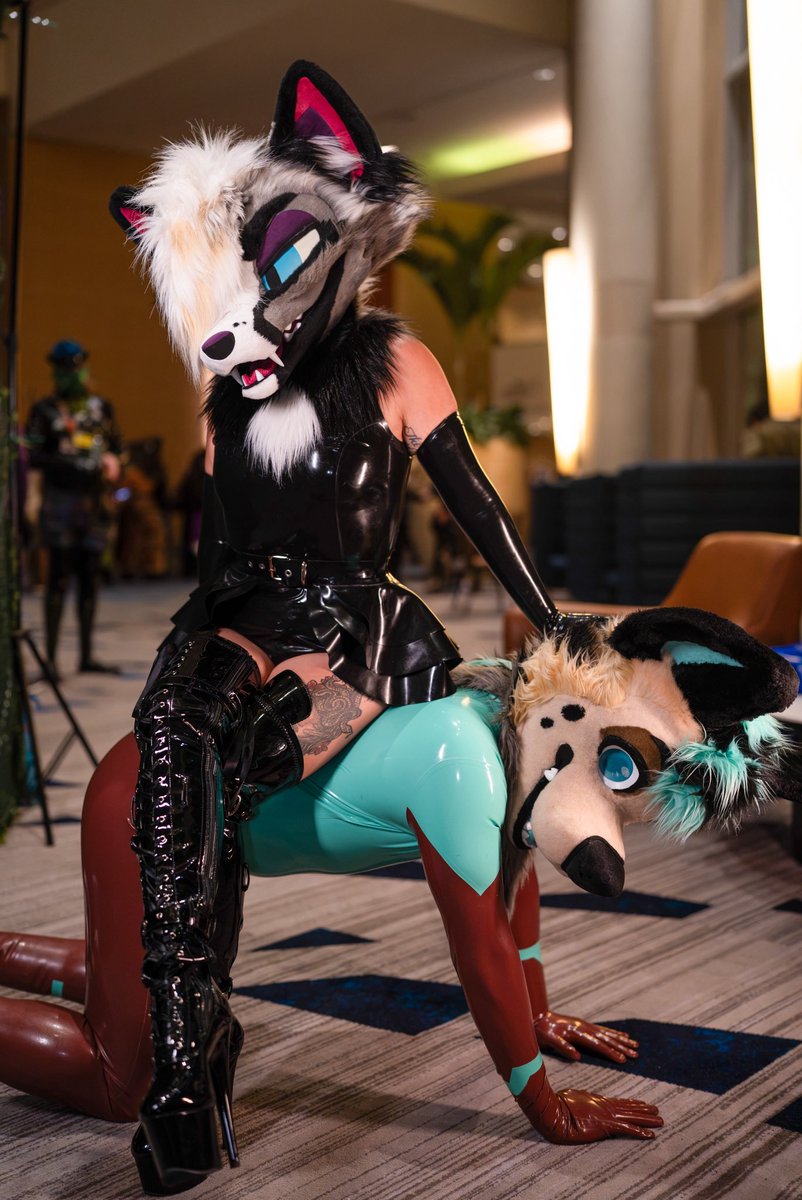RuffLatexQueen's tweet photo. Every Shiny Queen needs her throne ✨ 

📸: @ItsRokko https://t.co/LL4ClTEMAA