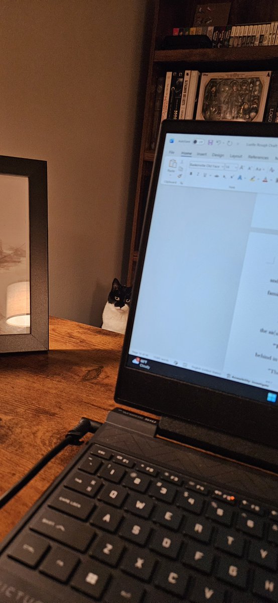 FeignedShadows's tweet photo. When your cat is judging the edits you thought were fire https://t.co/Uk5fWRXjD7