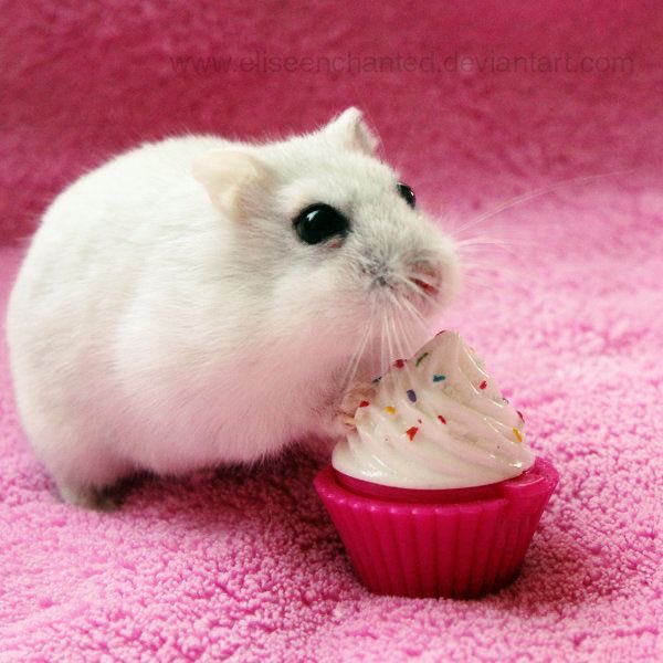 gumdropsalem's tweet photo. soft launch >_<
#nsfwtwtًً https://t.co/W5DQfmiAn0