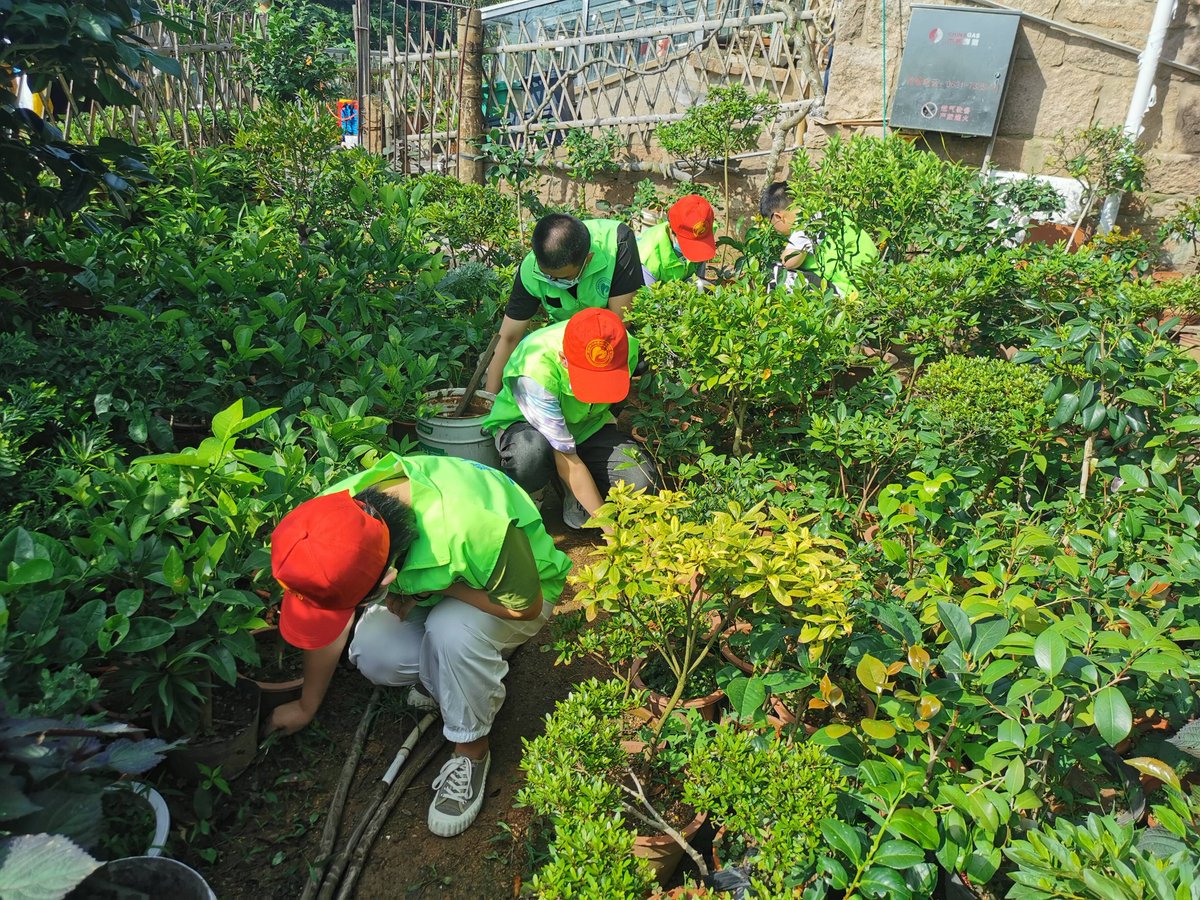 AshtonMolsev's tweet photo. Join our weekend community garden cleanup this Sat 9AM at Oak Park! Bring gloves u0026 water – help spruce up our green space, meet neighbors, earn fresh veggies from our harvest. See you there! https://t.co/Re41tH0JPw