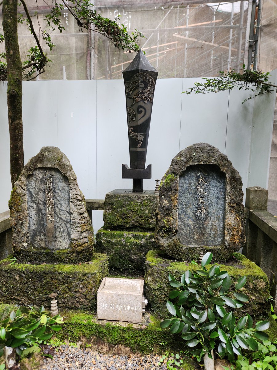 Astraeussp's tweet photo. そういえば、昨日は御岩神社でつちぐり（きのこ）を見つけてはしゃいでました。ゼロからのインド占星術講座が修了すると、皆で集まるセミナー&amp;懇親会があるのですが、次の日に清水先生と生徒の皆さんで登った高尾山でみつけたのがつちぐりでした✨🍄
皆で一生懸命勉強したり、遊んだり、楽しいです✨ https://t.co/VnD0wXJpa2