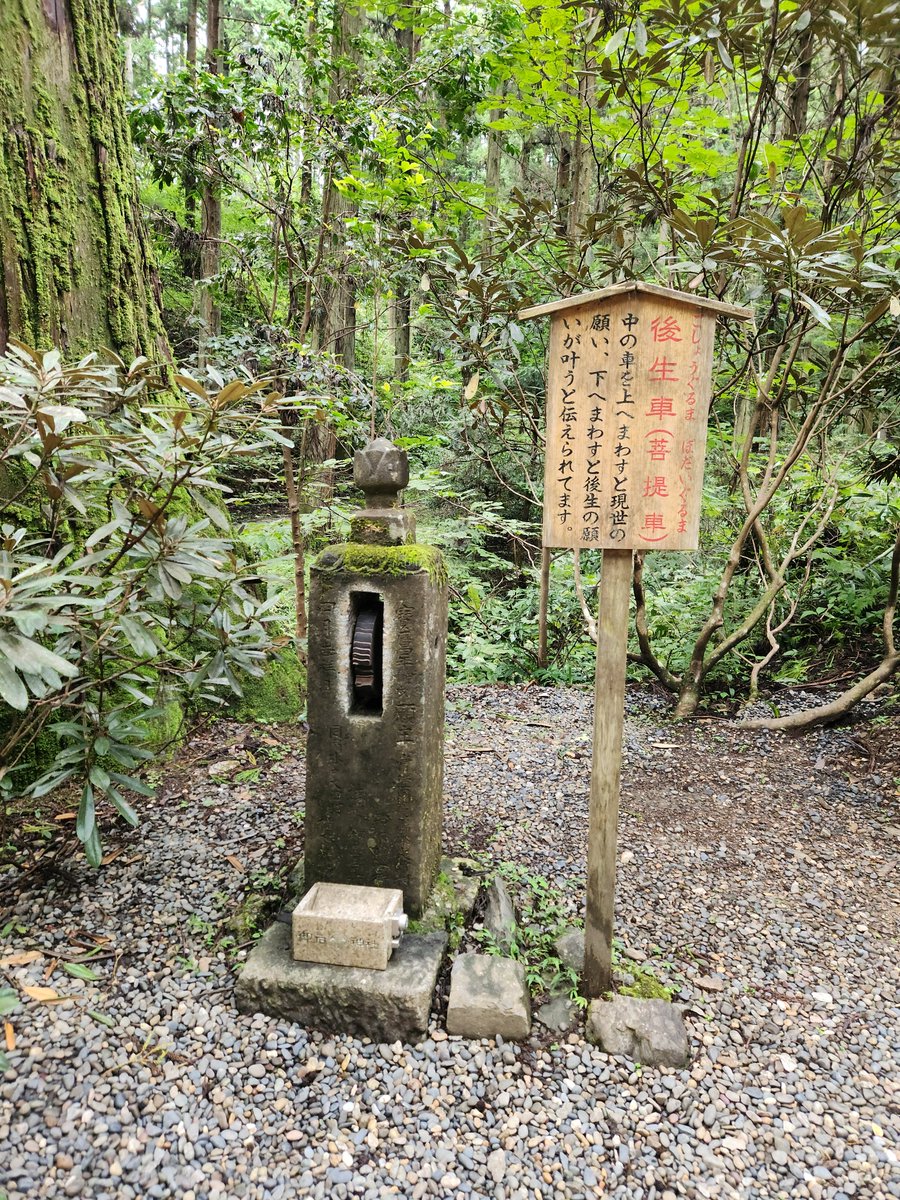 Astraeussp's tweet photo. そういえば、昨日は御岩神社でつちぐり（きのこ）を見つけてはしゃいでました。ゼロからのインド占星術講座が修了すると、皆で集まるセミナー&amp;懇親会があるのですが、次の日に清水先生と生徒の皆さんで登った高尾山でみつけたのがつちぐりでした✨🍄
皆で一生懸命勉強したり、遊んだり、楽しいです✨ https://t.co/VnD0wXJpa2