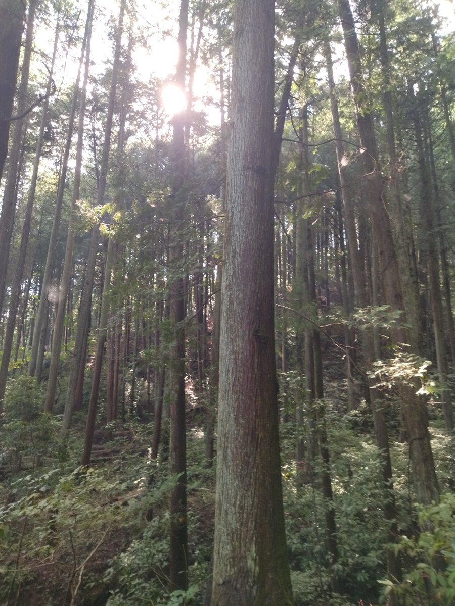 usamaru_usagii's tweet photo. おはようございます！
今日もスッキリ起きれて、
朝散歩30分行ってきました！
久しぶりに晴れて暑かったです。
本日もよろしくお願いします！ https://t.co/210vDjGTTX