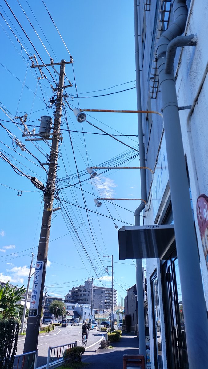 rakuchin_temomi's tweet photo. 眩しい青
9月14日(月)通常営業 https://t.co/8q0dSmo5Ar