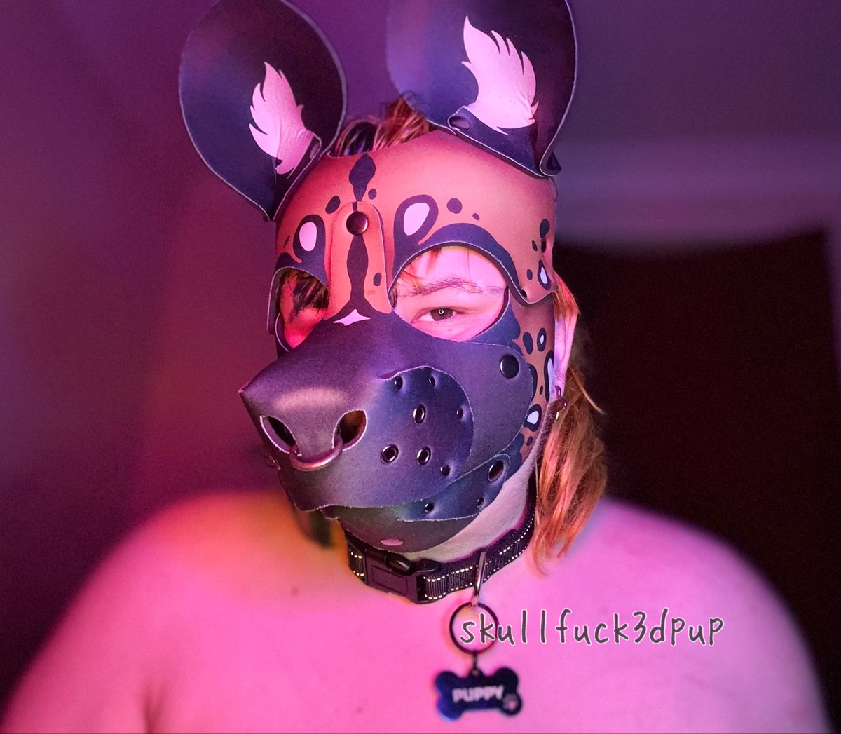 Skullfuck3dpup's tweet photo. ⋆˚ ★ Finn’s nsfwtwt intro ★ ˖°
      ❗️18+ mdni ❗️

𐂯 fat puppy tboy!! 𐂯
⋆♱ It/Pup - 🏳️‍⚧️
⋆♱ 21 - ‘05
⋆♱ uk based
⋆♱ switch | verse
⋆♱ soft &amp; hard kinks | no tw 
⋆♱ taken | @pupboy_ty 🔒💕

♡ or ⟳ for moots :3 https://t.co/Kpp25gKqFy