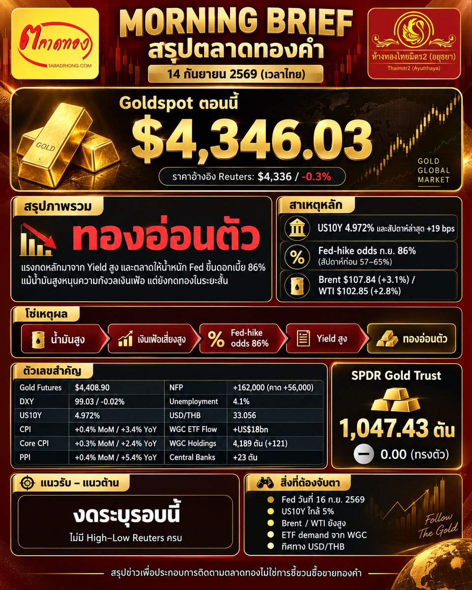 taradthong's tweet photo. MORNING BRIEF — สรุปตลาดทองคำ
เช้าวันจันทร์ที่ 14 กันยายน 2569 เวลา 07:02
เช้าวันนี้ทองคำ อ่อนตัวลง โดย Reuters รายงาน Spot Gold $4,336 / -0.3% แรงกดหลักมาจาก Bond Yield ที่อยู่สูง ขณะที่ตลาดให้น้ำหนัก 86% ว่า Fed จะขึ้นดอกเบี้ย 25 bps ในวันที่ 16 ก.ย
#ราคาทอง #ตลาดทอง #ไทยมิตร2 https://t.co/lJSnAFEkAM