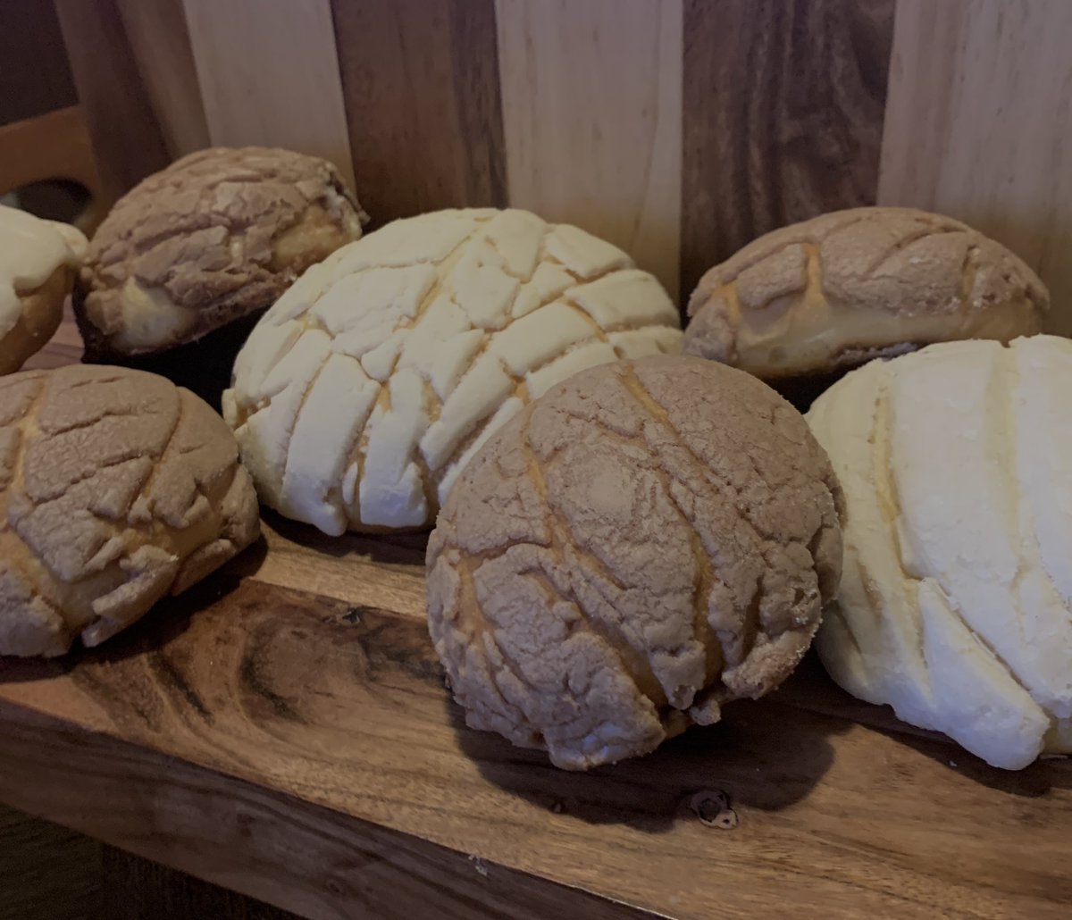 dozystef's tweet photo. i miss baking,, i miss cooler temperatures ougghh anyway here’s some conchas i made a while back! 😪 https://t.co/fOeeLCxHYr