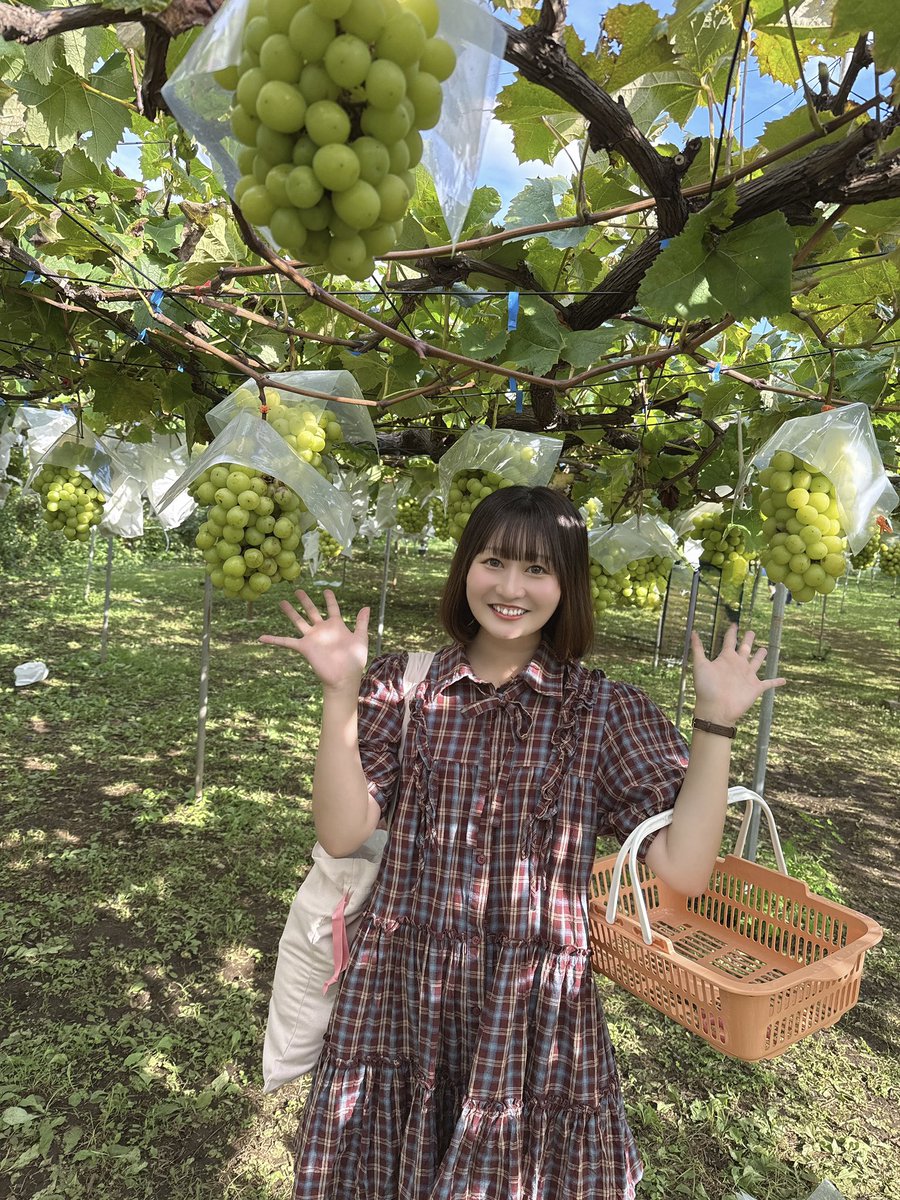 FiDZ_Natsuki tweet picture