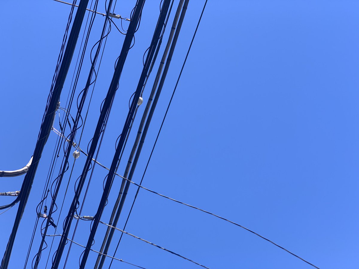 jun13dd's tweet photo. 朝から青空を見るの久しぶりな気がします https://t.co/cQAPM2ywk1