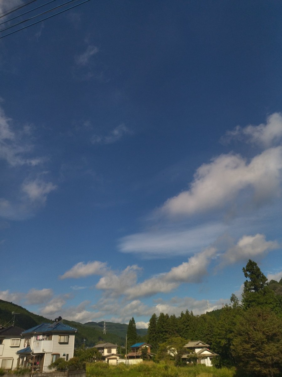 usamaru_usagii's tweet photo. おはようございます！
今日もスッキリ起きれて、
朝散歩30分行ってきました！
久しぶりに晴れて暑かったです。
本日もよろしくお願いします！ https://t.co/210vDjGTTX
