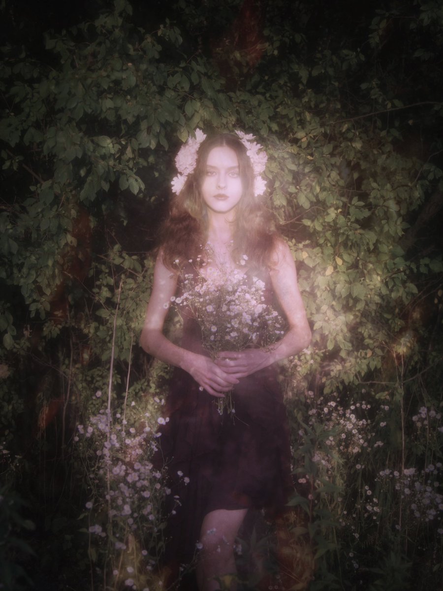 spctralentropy's tweet photo. The summer left me with flowers in my hair https://t.co/7r2qb82km7