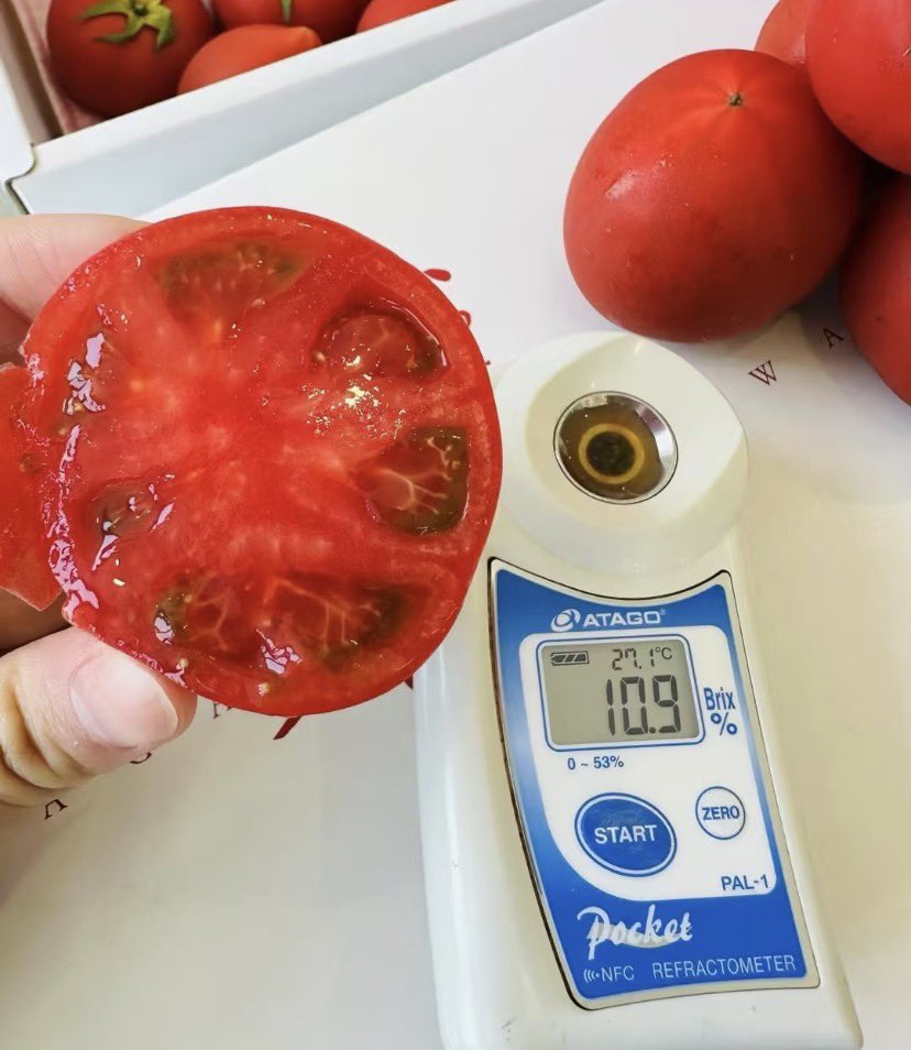 jimothy_paul's tweet photo. 🍅兵庫県産トマト好き必見企画🍅

『兵庫県産🍅トマト（7,000円相当）』

抽選で5名様にプレゼント✨

【応募方法はこちら⬇️】
・本アカウントをフォロー
・リポスト🔁＆いいね❤️

応募締切：9/14 23:59

#懸賞 #プレゼント企画 #キャンペーン #懸賞好きさんと繋がりたい #プレゼント #兵庫県産トマト https://t.co/sqjj3t87Z8
