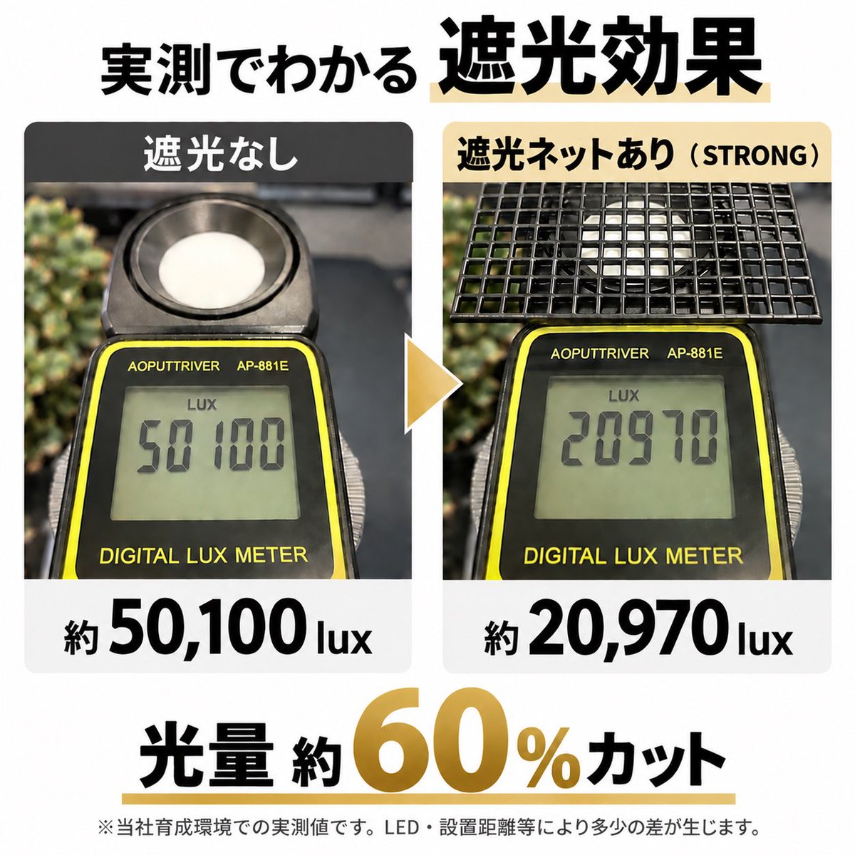 BizarreBazaarJp's tweet photo. https://t.co/nkyEOS0vWV
