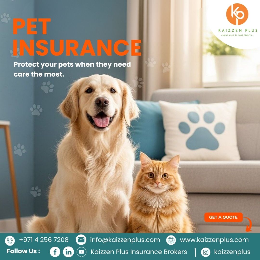 KaizzenPlus's tweet photo. 🐾 PET INSURANCE
Protect your pets when they need care the most. ❤️
✅ We find the right insurance for you.
Reach Us:
📞 +971 4 256 7208
📧 info@kaizzenplus.com
Visit Us:
🌐 https://t.co/uSxolIjR1o
#PetInsurance  #PetProtection #PetLovers #UAEInsurance #DubaiPets #Kaizzenplus https://t.co/zy1TDXLM0r