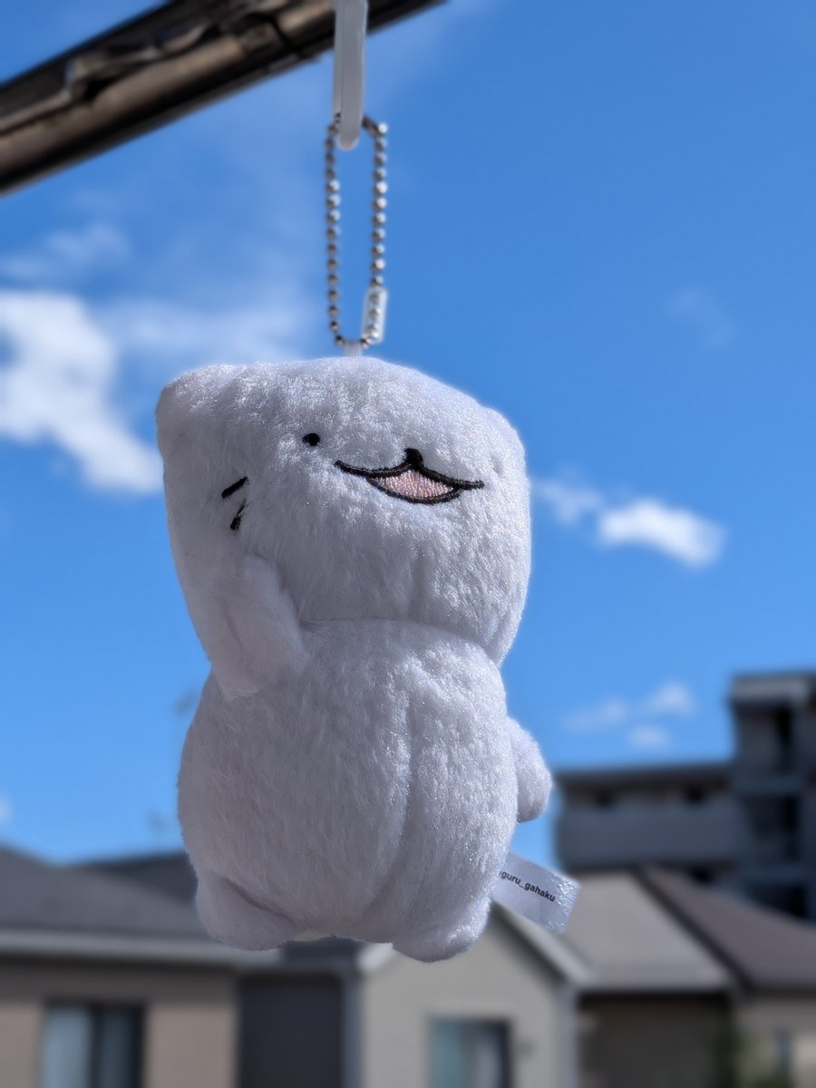 aya_chaaacha's tweet photo. 久々に晴れたから、１９日のイベントに備えて、やぁねこちゃんをお風呂に入れてキレイに！

☀に向かって『やぁ！』って言ってるみたいで可愛い😊

#すぐる画伯
#やぁねこちゃん
#おしゃべり学級２学期 https://t.co/PkVqt1WDHc