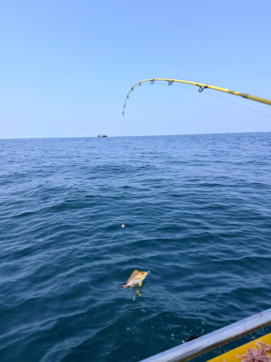 0O_Karabo's tweet photo. 都会の喧騒を離れ、船で海へ出る。波と太陽に包まれながら、魚がかかるのを待つ穏やかな時間を楽しむ。 https://t.co/qAEo0Y57ej