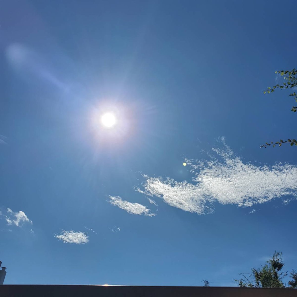 piyon0515's tweet photo. 今朝久しぶりの太陽☀️☀️SUN
💪🏻 ̖́ﾊﾟﾜｰ！をもらいます(*>▽<*)
貴重な晴天…久々暑過ぎ〜🍉

明日からまだ、お天気悪くなりそう(;o;) https://t.co/gkrviYlzrF