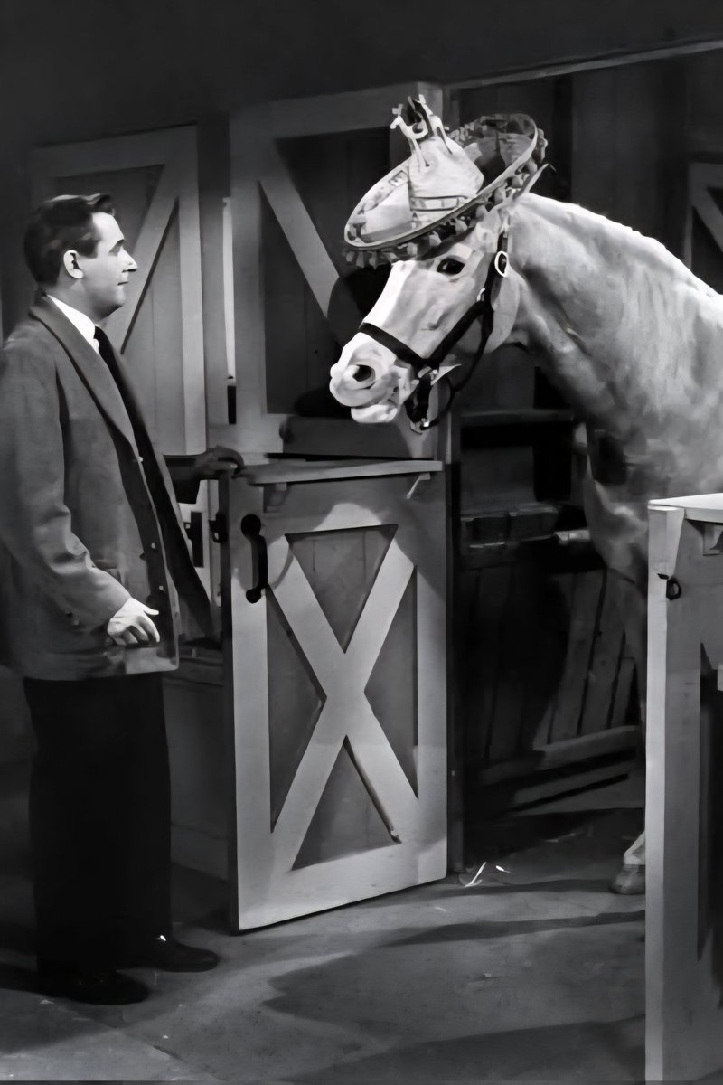 oelma__'s tweet photo. Who knows the name of this famous horse...? https://t.co/dVeXxZhHDH