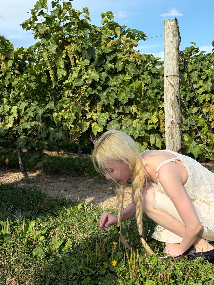 aespapic's tweet photo. #WINTER imwinter instagram update https://t.co/ih9iz2CUYf