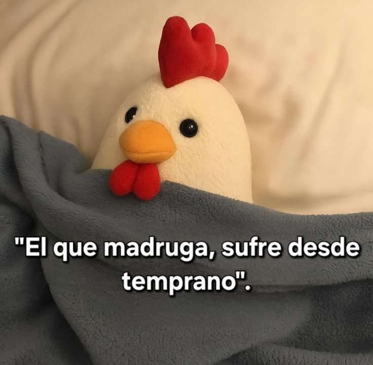 ursula_nav42878's tweet photo. Yo todas las mañanas 🥴 https://t.co/LifP3cjMMd