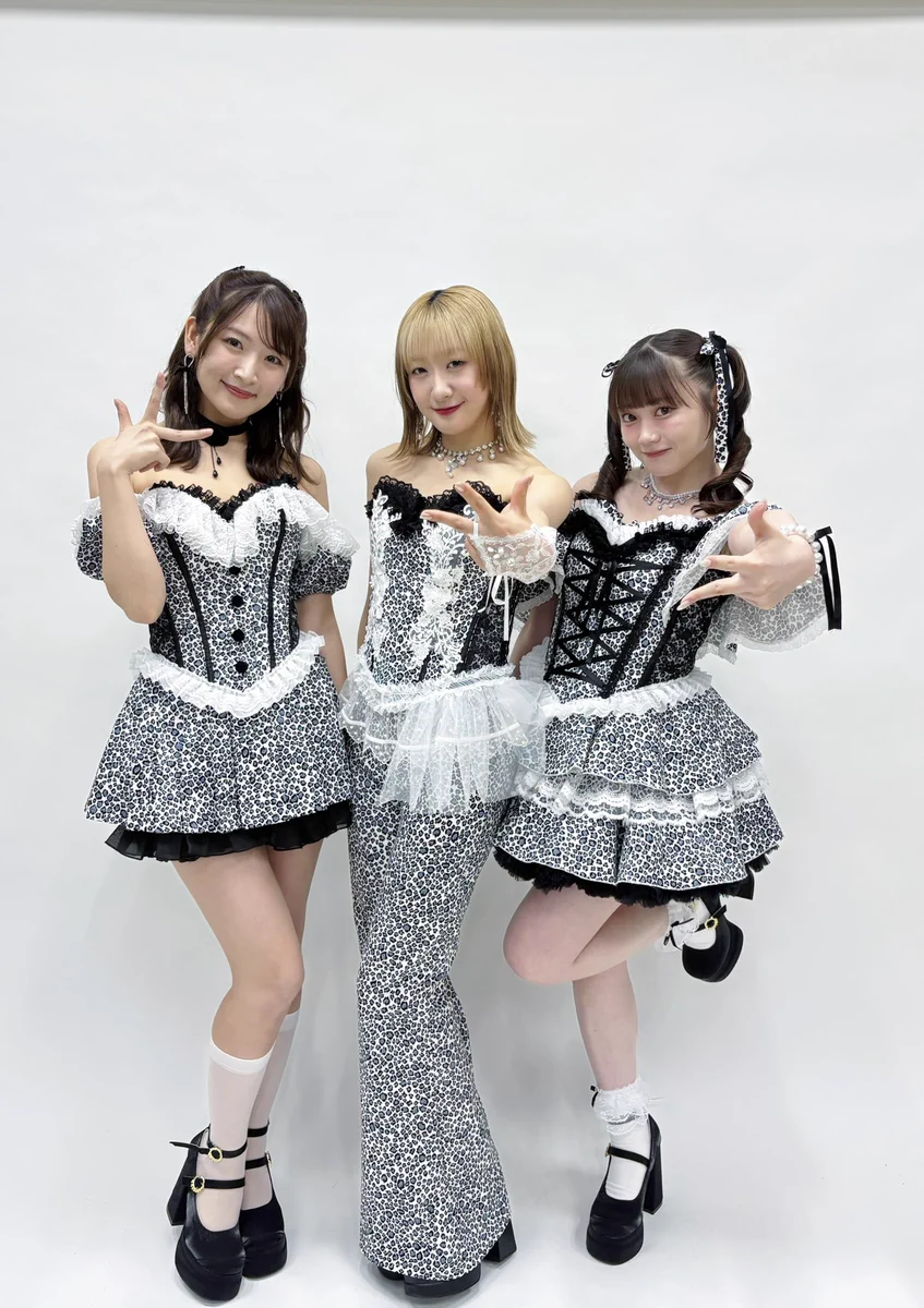 つばきファクトリー on X: 
