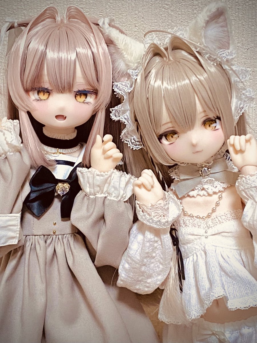 sumii_usa's tweet photo. かわいい…かわいい…🤍
#ぐるっ子
#うさアメっ子 https://t.co/uqNq4DwBDv