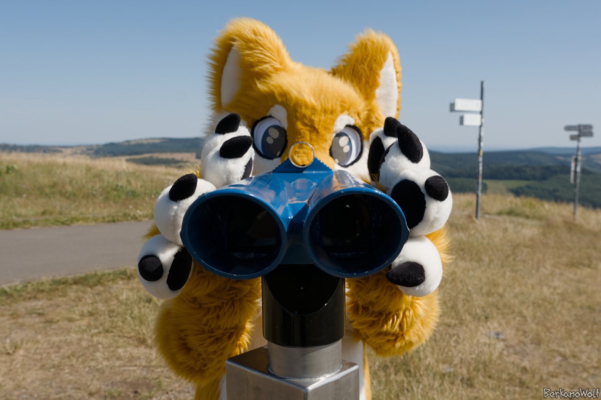 themindofurry's tweet photo. What are you doing there? I can see it quite clearly
#wasserkuppel #2026 #fa2p #2pfoten #FursuitMonday
📸 @BerkanoWolf
with Sony ILCE-7M4 · 24mm · f/6.3 · ISO 100 · 1/640s https://t.co/dOMzOarL8H