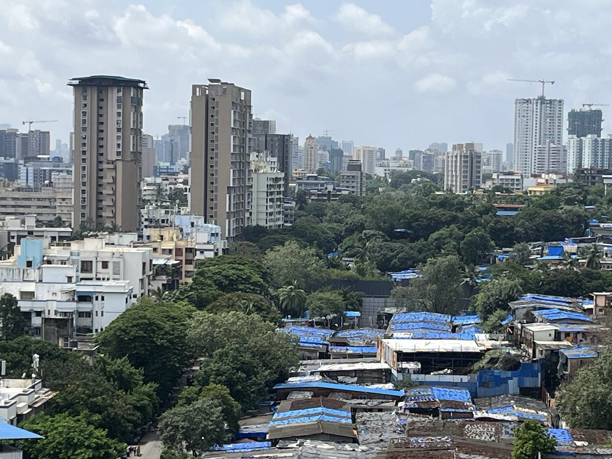 Avinash_Kamat's tweet photo. Old green cover supporting new development #Dahisar #Mumbai https://t.co/6OeOKOwf82