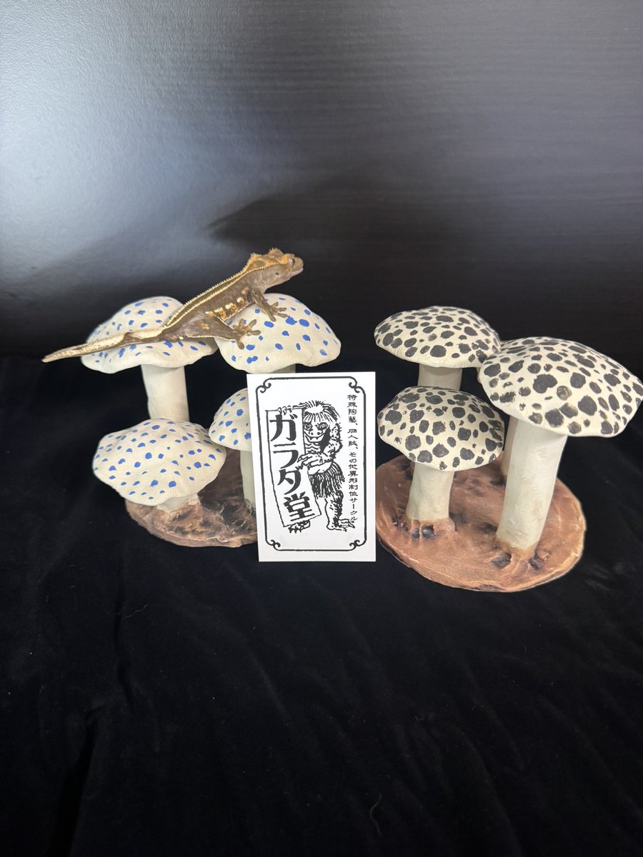 non_Gecko_1952's tweet photo. @RadEye_Cresties さんから
お迎えした子達と

@garada_k4r さんから
素敵な色味な🍄シェルターと

@KazzRepJapan さんから
ガラダ堂さんコラボの
🍄シェルターも買えて最高の1日だった

久しぶりのイベント
色んな方とお話しできて
楽しかったな🤤

#ゲッコーマーケット
#GeckoMarket https://t.co/skLMjeDs0k