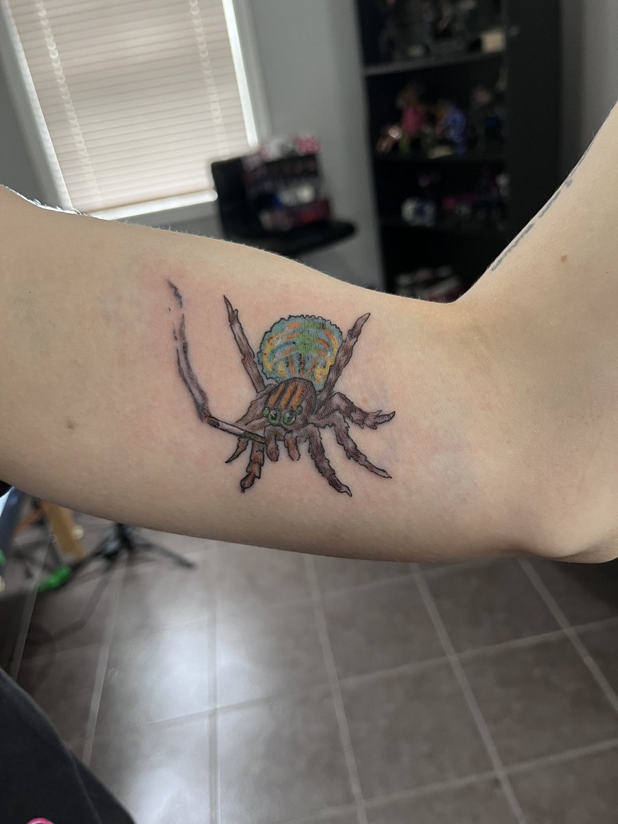 HelenaJesso's tweet photo. @sukiwaterhouse Loved that freaky little spider (and album) so much it’s on me for life❤️‍🔥🕷️🕸️ https://t.co/MU9n7zqzic