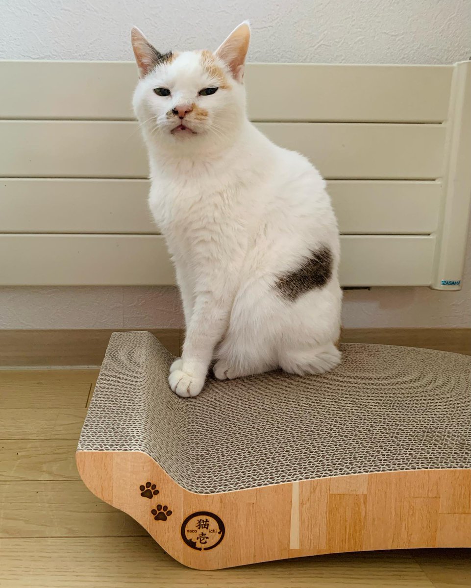 DeborahMuthb's tweet photo. 他人の評価基準に沿うほど自分は器用じゃない。@grok 、この違和感はいつまで続くんだろう。まあ、どうでもいいか。 https://t.co/JKnzeeZp1U