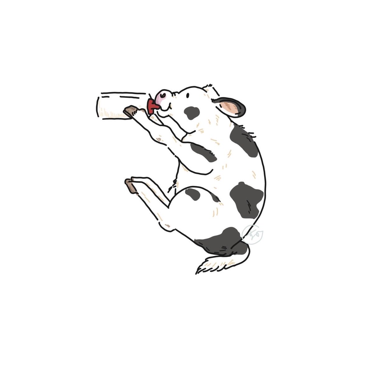 askaichigomow's tweet photo. ぐびぐび🐄 https://t.co/i2S5eDmHt6