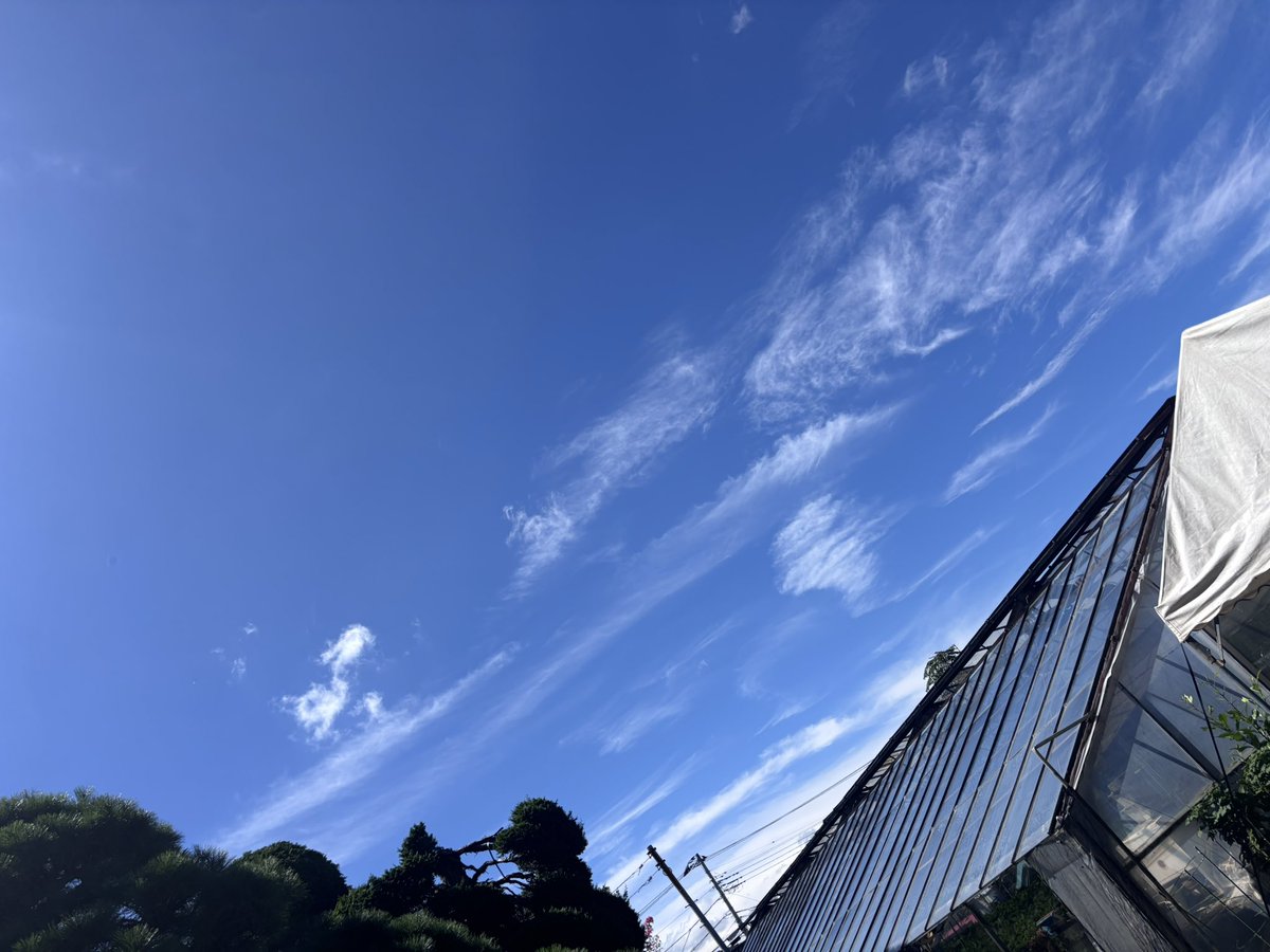 desamdesam's tweet photo. お久しぶり空 https://t.co/Zil8UTaePJ