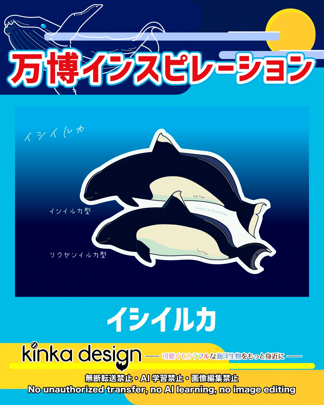 イルカちゃん🐬（キタムラアイ）→デザイナー＆海洋生物専門