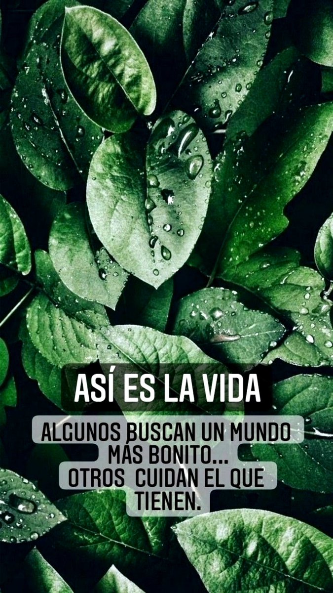 AlgodeAzukr's tweet photo. Así es la ⓥⓘⓓⓐ ... https://t.co/PGh642iUvy