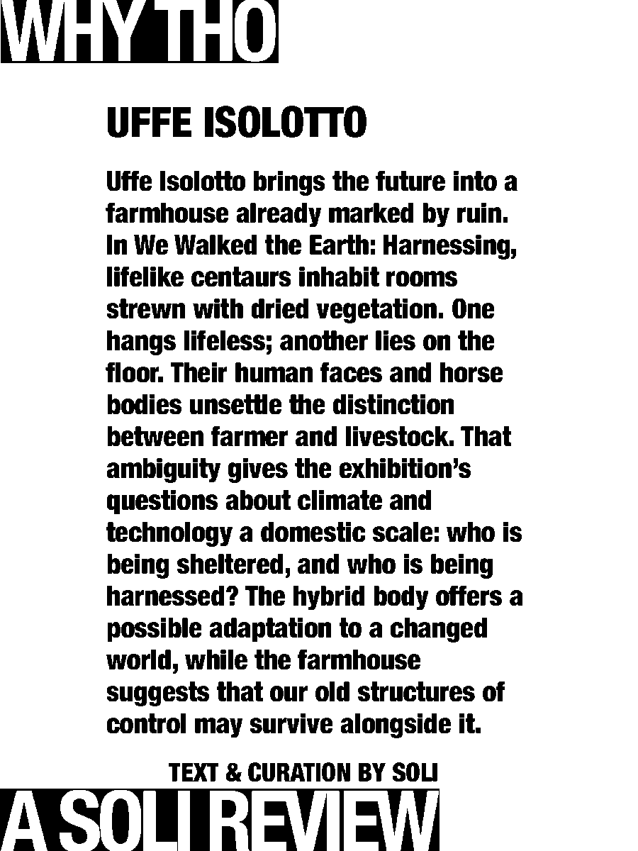 solisolsoli's tweet photo. Who gets harnessed? · Uffe Isolotto https://t.co/U2ovjBB5LG