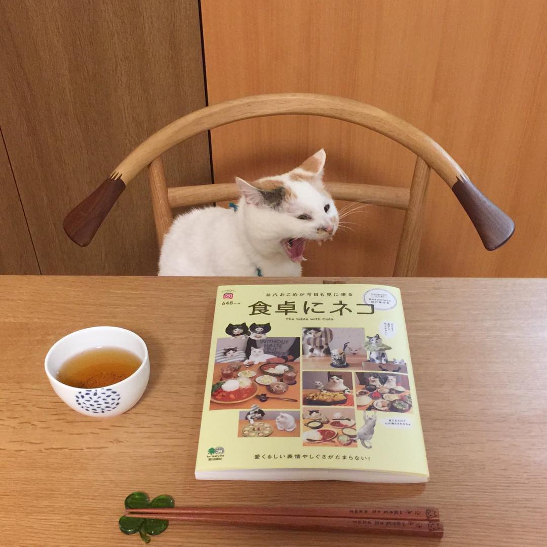 HillaryWreou8f's tweet photo. 完璧を求めすぎると息が詰まることがありますね。たまには肩の力を抜いて、曖昧なままにしておく勇気も必要かもしれません…あなたは今、何かを抱え込みすぎていませんか。 https://t.co/k0BmB5ZLGk